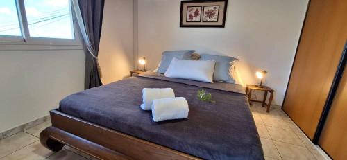 a bedroom with a large bed with two white pillows at Relais des ô vives in Sainte-Suzanne