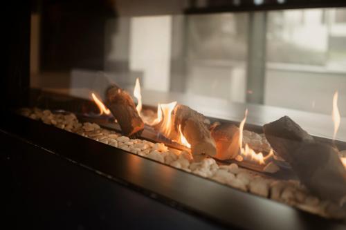 een groep voedsel koken in een oven bij Hôtel Dali Val d'Europe in Chanteloup-en-Brie