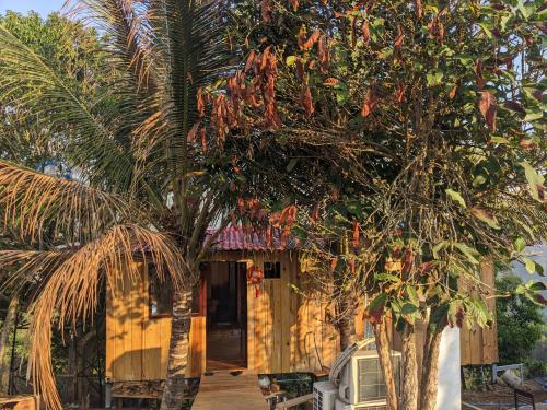 a house with a palm tree in front of it at HOMESTAY ĐỐM HOUSE in Hoat