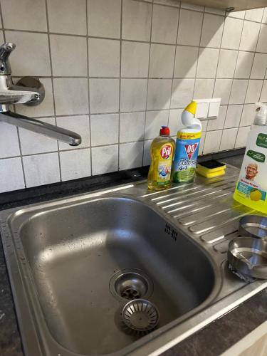 un lavello da cucina con due bottiglie di prodotti per la pulizia sopra di 2 Zimmer mit 4 Betten (Wohnung Apartment) a Bruchsal