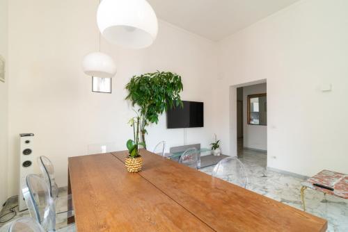 Aureliana luxury apartment