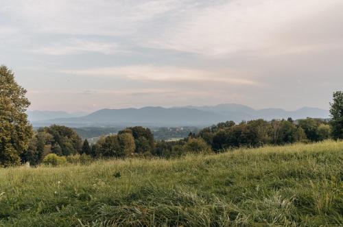 a field of grass with trees and mountains in the background at Bauernchalet elbacher gütel - Exklusives Ferienhaus am Starnberger See in Eurasburg