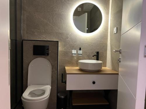 a bathroom with a toilet and a sink and a mirror at RED RIDING HOOD in Belgrade