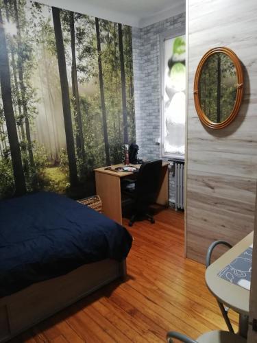 Schlafzimmer mit einem Bett, einem Schreibtisch und einem Spiegel in der Unterkunft Chambre avec douche in Lourdes