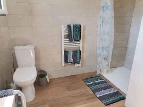 une salle de bain avec toilettes et douche dans l'établissement Maison des fleurs d'Ajoncs, à Naujac-sur-Mer