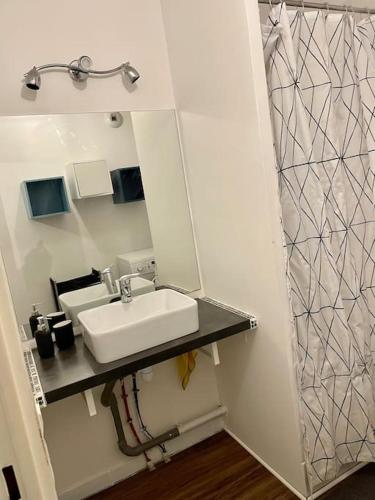 une salle de bain avec un lavabo et un miroir dans l'établissement Cosy Studio proche de Paris idéal pour les JO, à Argenteuil