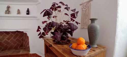 a table with a bowl of oranges and a plant at Posada Puente Romano in Sedella