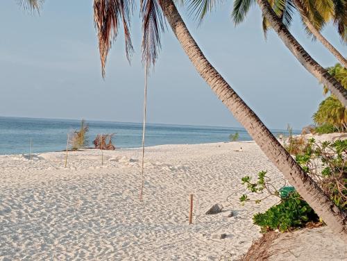 un'amaca vuota su una spiaggia con due palme di Secret Escape a Fuvahmulah