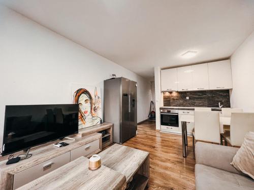 a living room with a large flat screen tv at O3 Apartments in Tivat