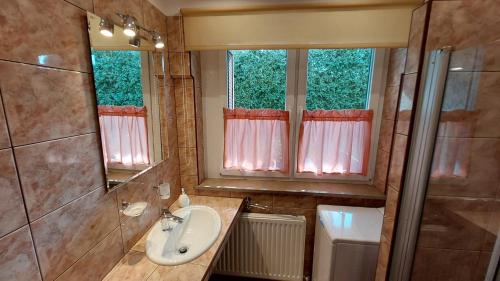 baño con lavabo y aseo y 2 ventanas en Apartament Kopytko, en Bielsko-Biala
