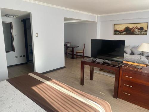 TV/Unterhaltungsangebot in der Unterkunft Hotel El Araucano