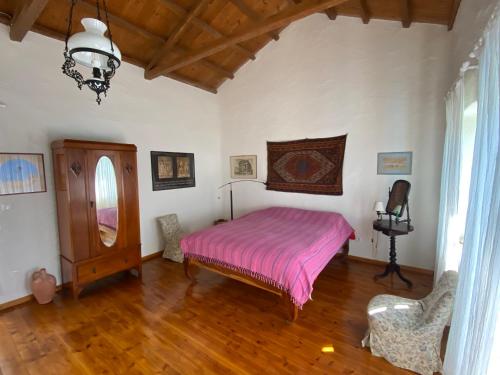 a bedroom with a bed and a wooden floor at Two sisters in Alonnisos Old Town