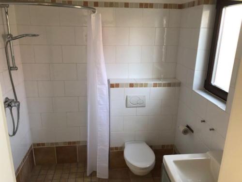 a bathroom with a shower with a toilet and a sink at Appartement-Ferien-Messewohnung in Bad Nenndorf