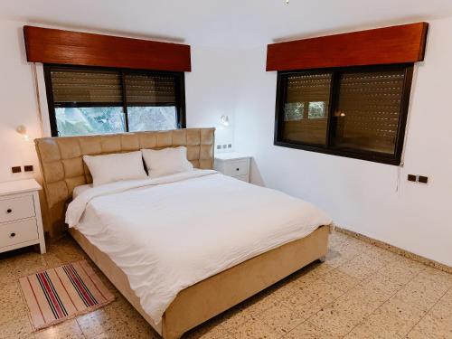 a bedroom with a bed and two windows at Salamandra Guest House in Nahariyya