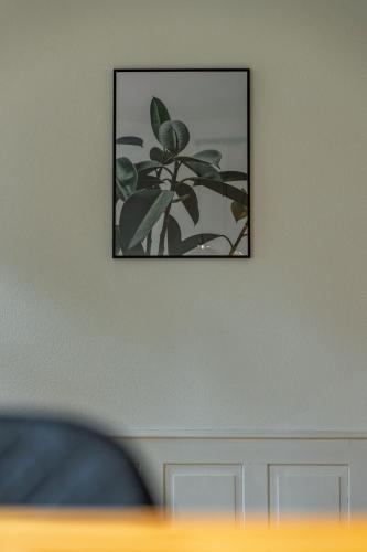 a framed picture of a plant on a wall at Jewel in the center of Thun's old Town in Thun