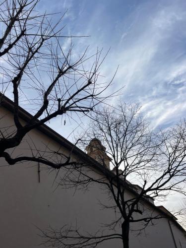 a view of the roof of a building with trees at Bistrot del mare in Santo Stefano al Mare