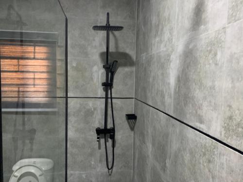 a shower in a bathroom with a toilet at Adel’s Place in Abuja