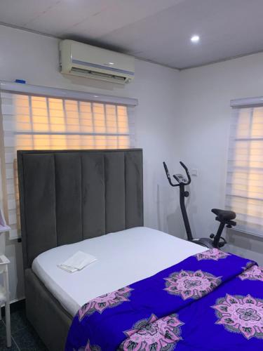 a bedroom with a bed and a fan and windows at Adel’s Place in Abuja