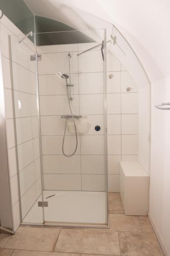 a shower with a glass door in a bathroom at Bürgerhaus Martinecz in Bad Radkersburg