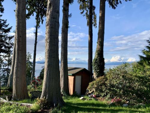 een kleine hut midden in een groep bomen bij Waterfront Eagle Nest in Nanaimo