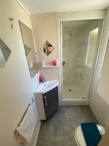 une salle de bain avec une douche, un lavabo et des toilettes dans l'établissement Idéal pour visiter les Îles d’or, à Hyères