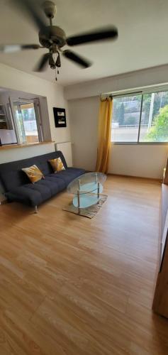un salon avec un canapé et une table en verre dans l'établissement 2 pieces proche mer, à Nice