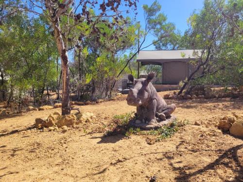 a statue of a dog sitting in the dirt at Peace Haven @ Windfarm Accommodation in Yzerfontein