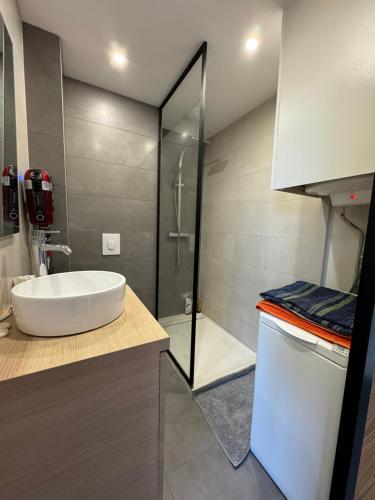 a bathroom with a white sink and a shower at Appartement - Dijon in Dijon