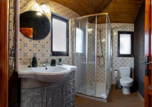 a bathroom with a sink and a shower and a toilet at Casinha do Quadro in Figueiró dos Vinhos