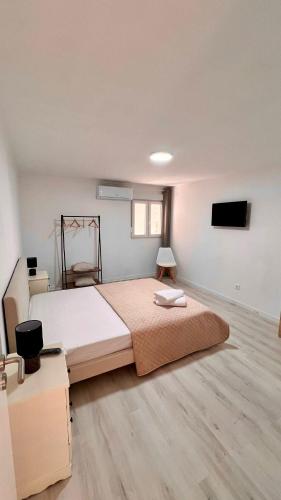 a bedroom with a large bed and a flat screen tv at Casa do Castro in Bragança