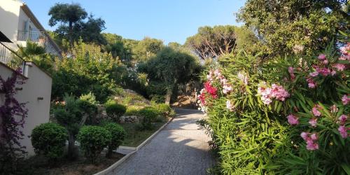 un jardin avec des fleurs roses sur le côté d'une route dans l'établissement La Beluga, à Sainte-Maxime