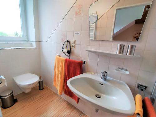 ein Bad mit einem Waschbecken und einem WC in der Unterkunft BodenSEE Apartments Daisendorf nahe Meersburg in Daisendorf