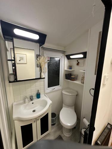 un piccolo bagno con servizi igienici e lavandino di Caravan Rabbit House No 81 at Three Lochs Holiday Park a Newton Stewart