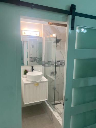 a bathroom with a sink and a glass shower at HCEAS villa is 5 min fr. airport & to the beaches in Bon Accord