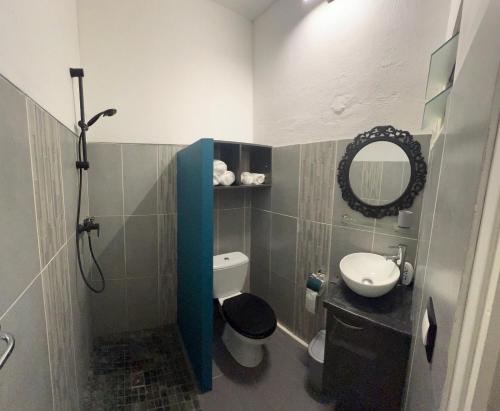 La salle de bains est pourvue de toilettes, d'un lavabo et d'un miroir. dans l'établissement Chez Permal, à Saint-Pierre