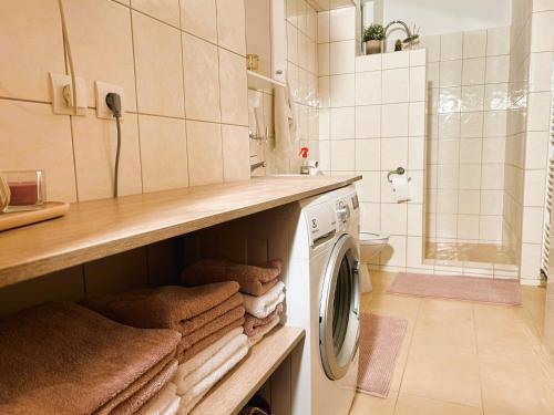 bagno con lavatrice e doccia di Luxusný apartmán v centre mesta a Piešťany