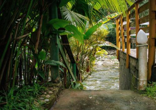 Gallery image of Pousada cachoeira de Paraty in Sertão do Taquari