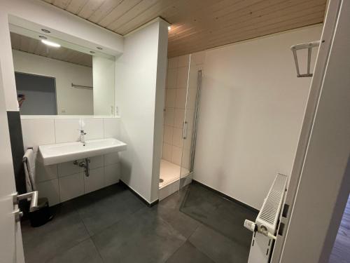 a bathroom with a sink and a mirror at Diner/Wallenhorst in Wallenhorst