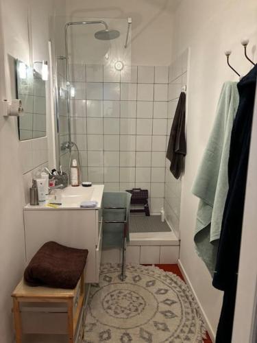 une petite salle de bain avec un lavabo et une douche dans l'établissement plein coeur de BANON, à Banon
