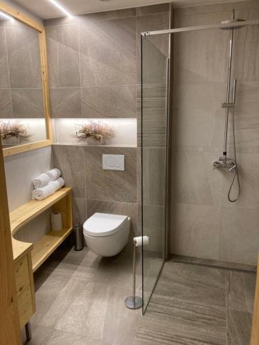 赫魯迪姆的住宿－Apartmány Štěpánkova 85，一间带卫生间和玻璃淋浴间的浴室
