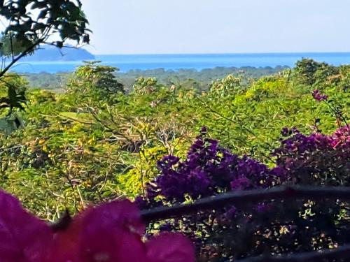 a view of the ocean from a garden with purple flowers at Tucanes Ridge Bed and Breakfast in Tarcoles