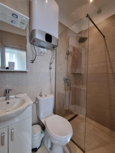 a bathroom with a toilet and a shower and a sink at Apartments Villa Marija in Petrovac na Moru