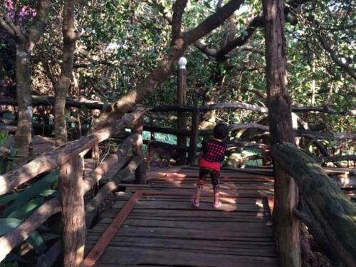 a young boy jumping on a wooden bridge at Tree Top Eco-Lodge in Banlung