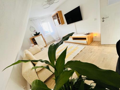 Μια τηλεόραση ή/και κέντρο ψυχαγωγίας στο Haus Carolin