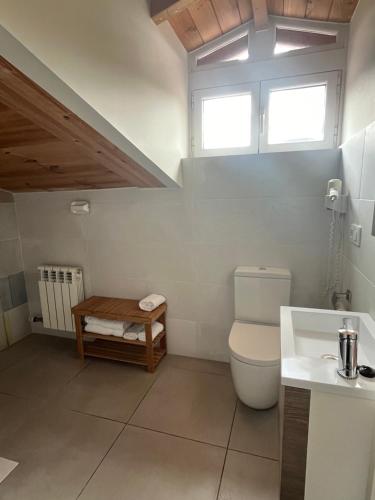 a bathroom with a toilet and a sink and a window at Apartamentos Sierra in Ezcaray