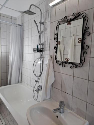 a bathroom with a shower and a sink and a mirror at BurgK59, 3 BR, 6 Beds, TV, Kitchen and Bath in Muldenstein