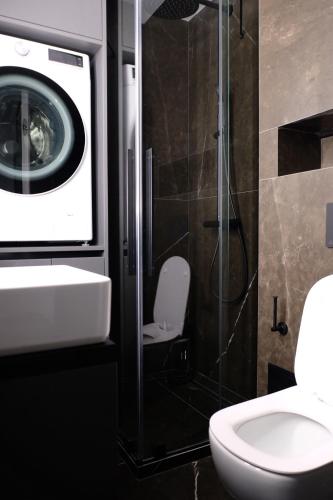 un bagno con wc, lavandino e lavatrice di Rose Valley Apartment a Chişinău