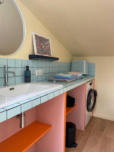 une salle de bain avec un lavabo et une machine à laver dans l'établissement Ancien atelier artiste, studio climatisé, à Bordeaux