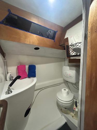 リド・ディ・オスティアにあるLA REGINAの小さなバスルーム(洗面台、トイレ付)