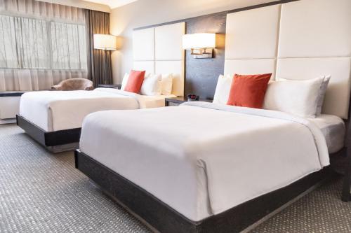 two beds in a hotel room with a cat laying on the bed at Crowne Plaza Fredericton Lord Beaverbrook by IHG in Fredericton
